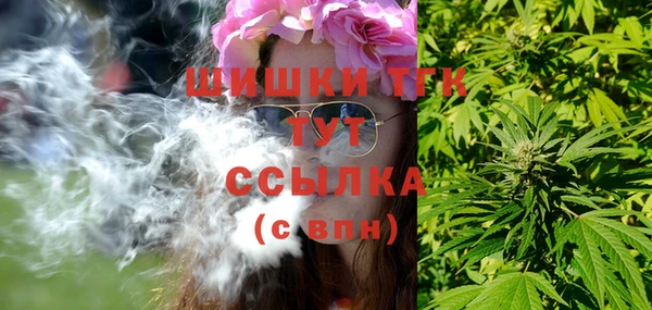 стафф Осинники