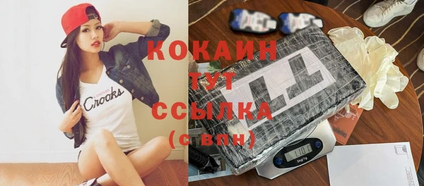 стафф Осинники