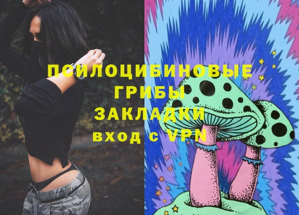 стафф Осинники